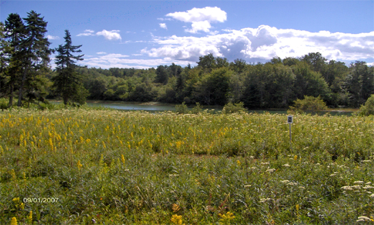 Oceanfront lot for sale in Steuben, Maine