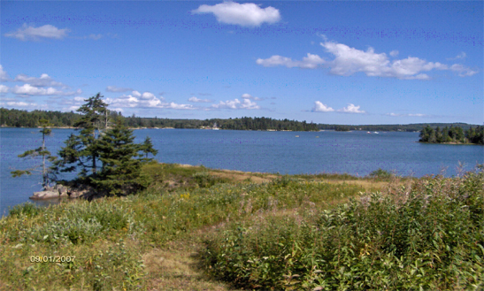 Waterfront lot for sale in Steuben, Maine 