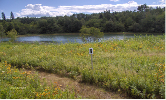 Maine oceanfront lot for sale