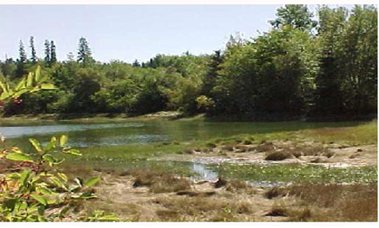 Waterfront lot for sale in Steuben, Maine