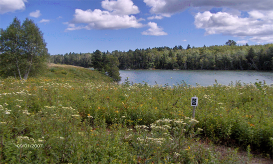 Tide Lot for sale - Steuben, Maine