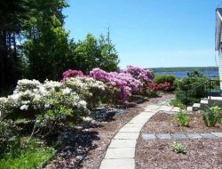 Real Estate Listing - Belfast, Maine - Perfectly lovely in-town home on generous lot w/private backyard