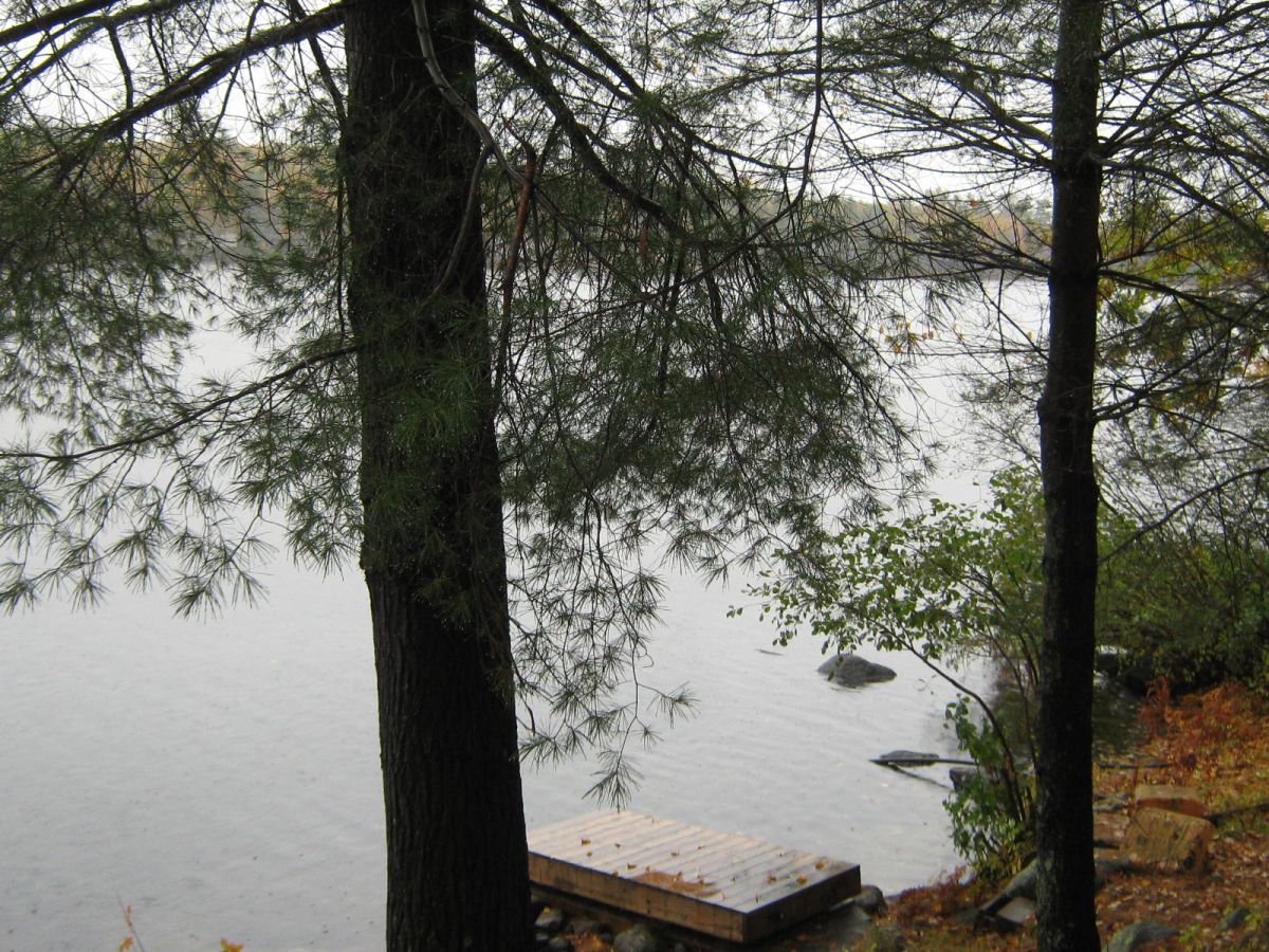 Maine Lakes and Ponds Waterfront Deckside Views Thru Pines