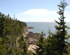 Maine oceanfront location with ocean views and crashing waves 