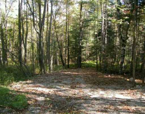 Private Shorefront Lot for Home Site or Subdivision